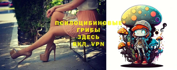 мет Абаза