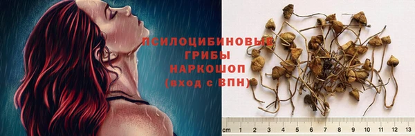 тгк Алзамай