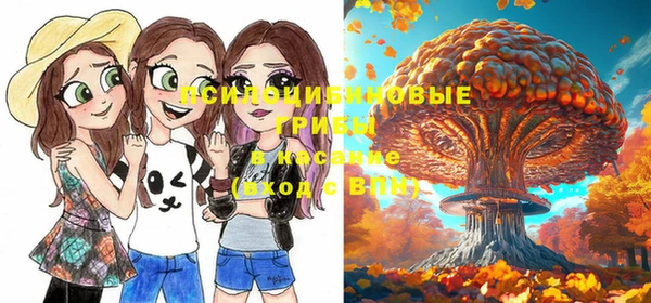 дурь Абинск