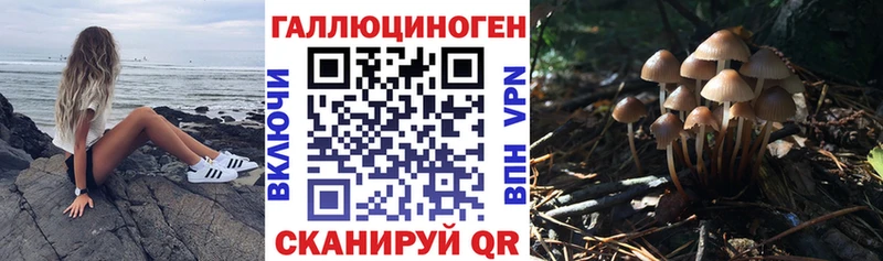 Псилоцибиновые грибы Psilocybine cubensis  mega ССЫЛКА  Шахты 