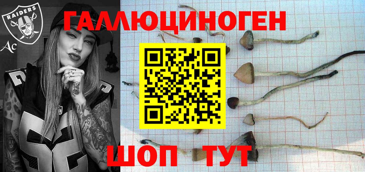 Галлюциногенные грибы прущие грибы Шахты